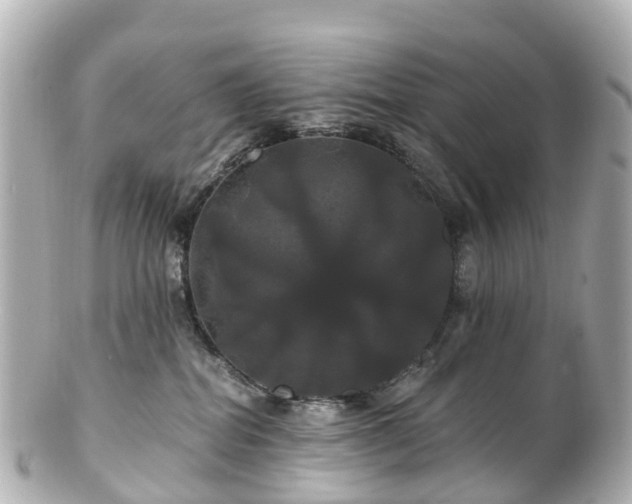 X0000100920282200807011314