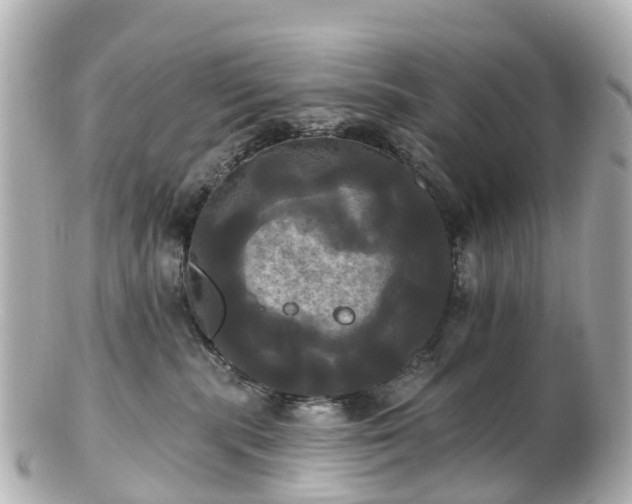 X0000100920283200807011314