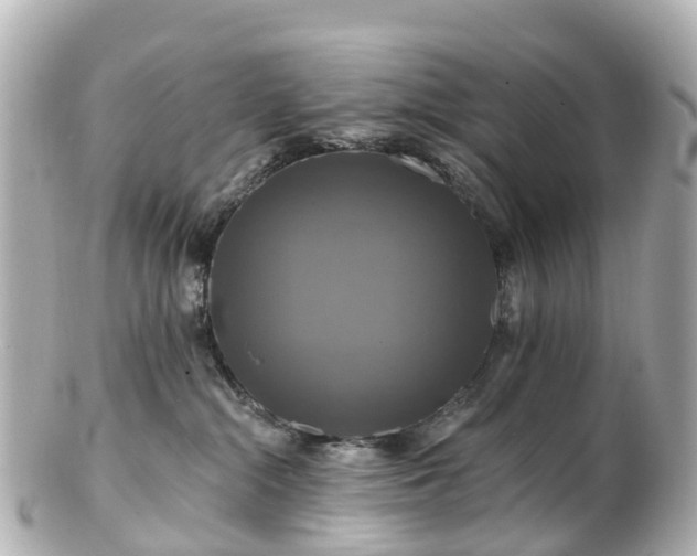 X0000100920284200807011314