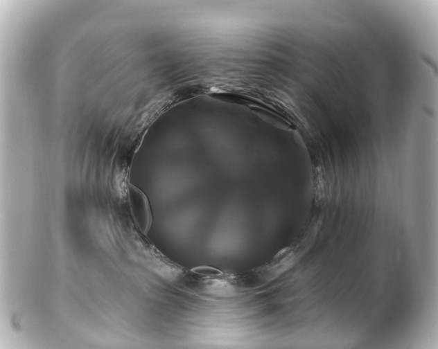 X0000100920285200807011314