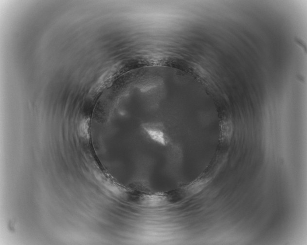 X0000100920286200807011314