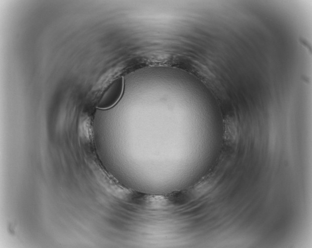 X0000100920287200807011314