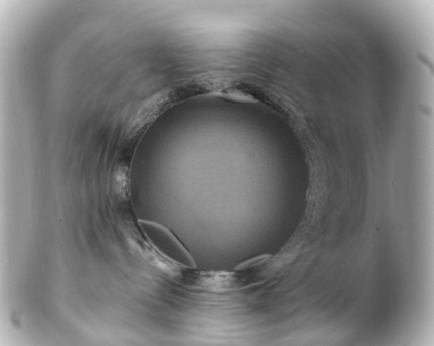 X0000100920288200807011314