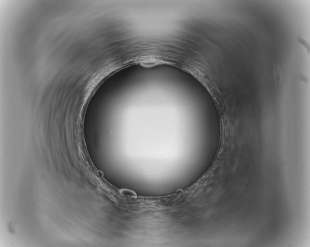 X0000100920289200807011313