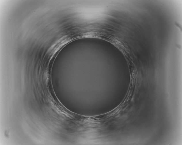 X0000100920290200807011313