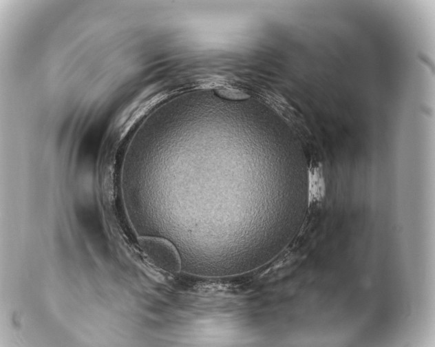 X0000100920291200807011313