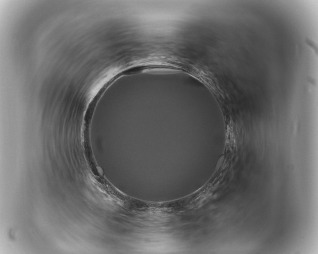 X0000100920292200807011313