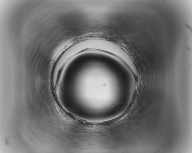 X0000100920293200807011313