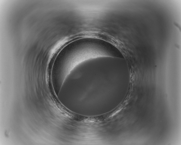 X0000100920294200807011313