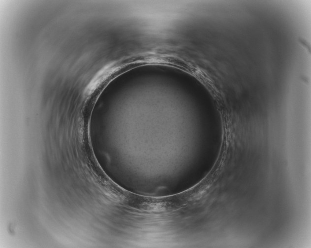 X0000100920295200807011313