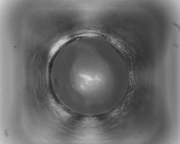 X0000100920296200807011313