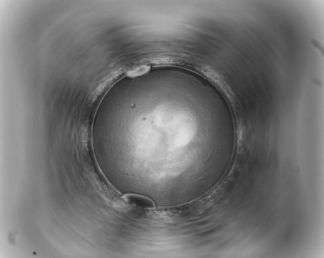 X0000100920297200807011313