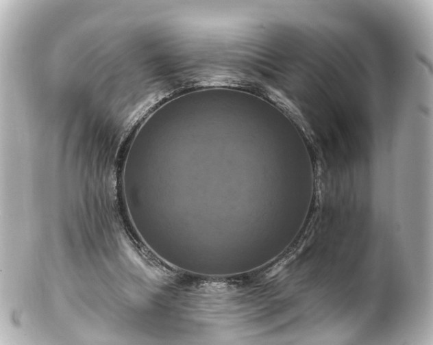 X0000100920298200807011313