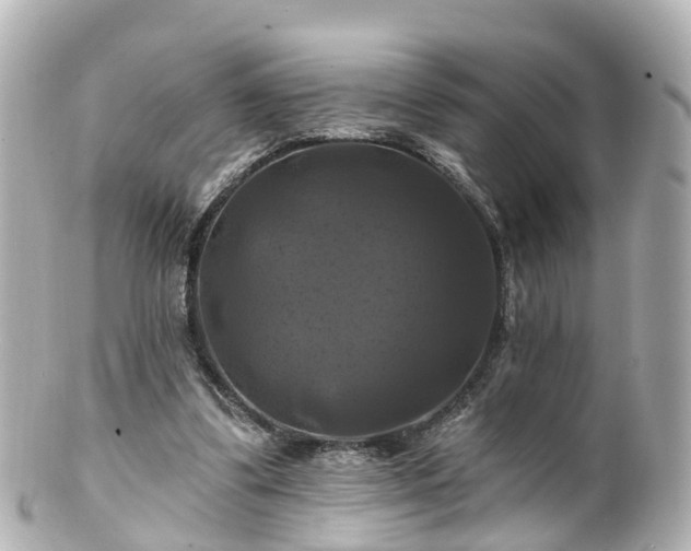 X0000100920299200807011313