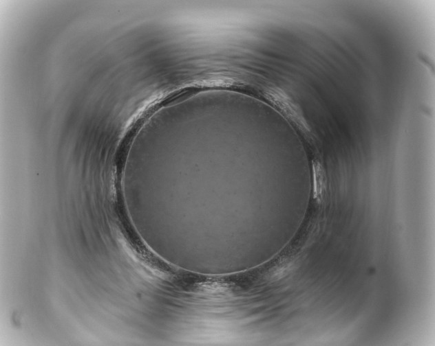 X0000100920300200807011313