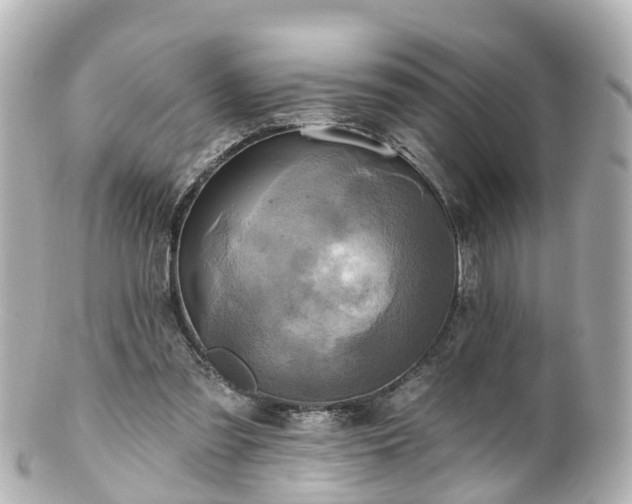 X0000100920301200807011313