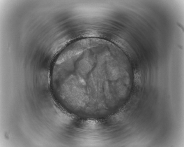 X0000100920302200807011313