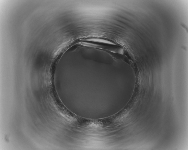 X0000100920303200807011313