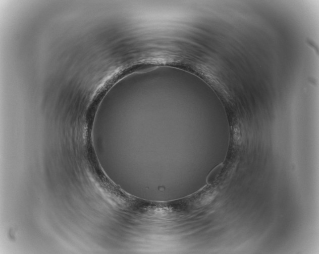 X0000100920304200807011313