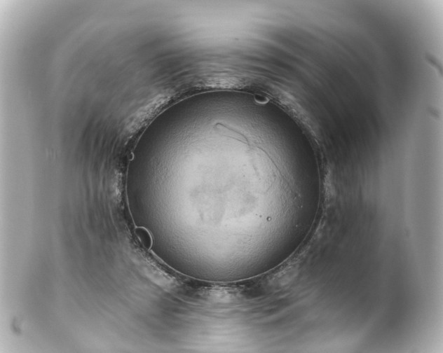 X0000100920305200807011313