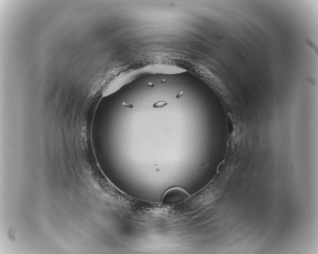 X0000100920306200807011313