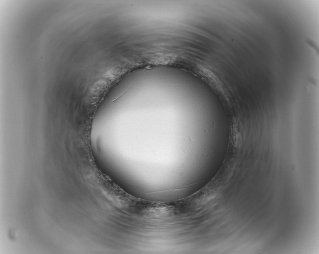 X0000100920307200807011313