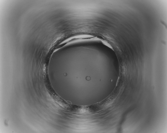 X0000100920308200807011313