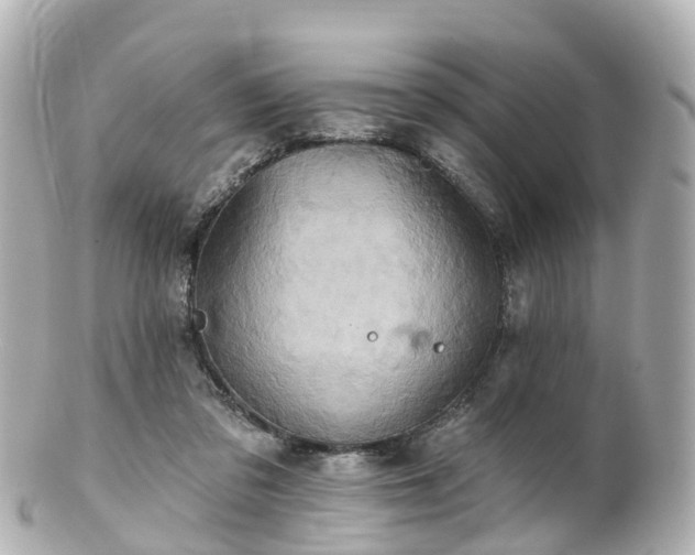 X0000100920309200807011313