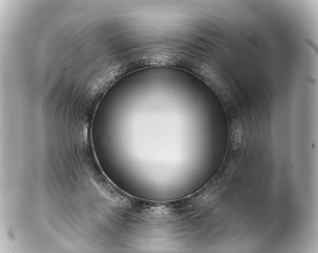 X0000100920310200807011313