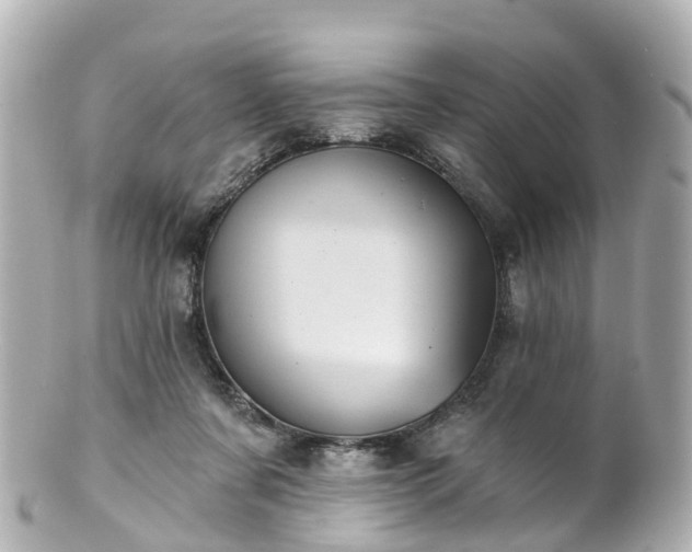 X0000100920311200807011313