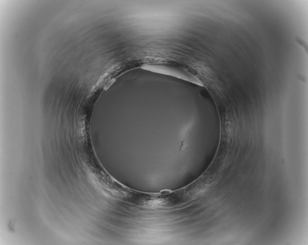 X0000100920312200807011313