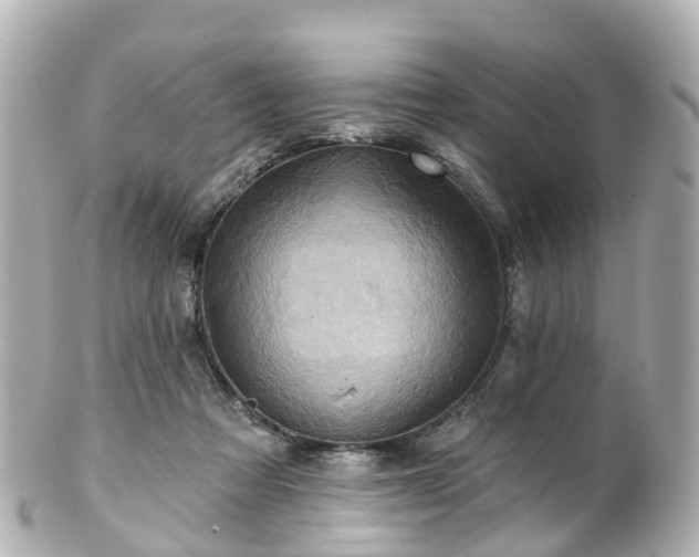 X0000100920313200807011312