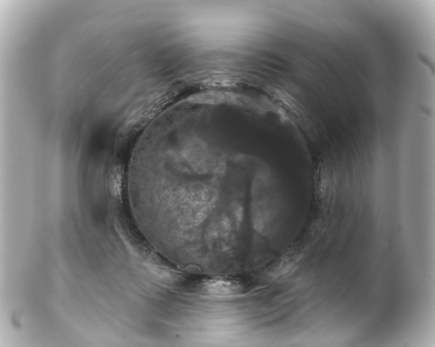 X0000100920315200807011312