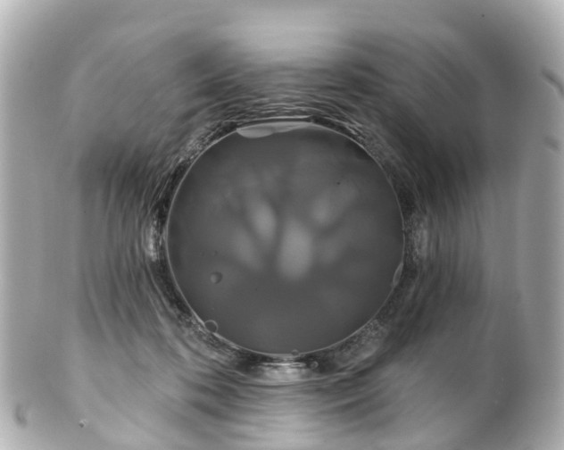 X0000100920316200807011312