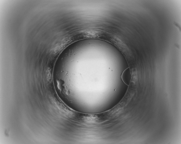 X0000100920318200807011312