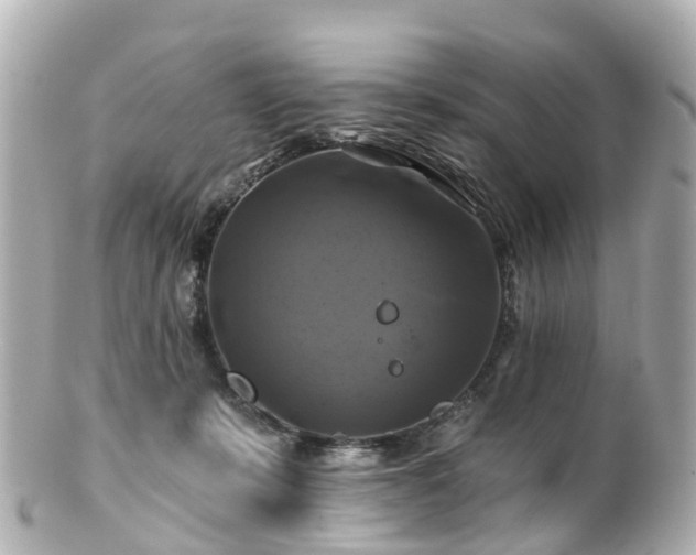 X0000100920319200807011312