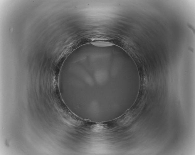 X0000100920320200807011312