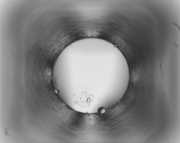 X0000100920321200807011312