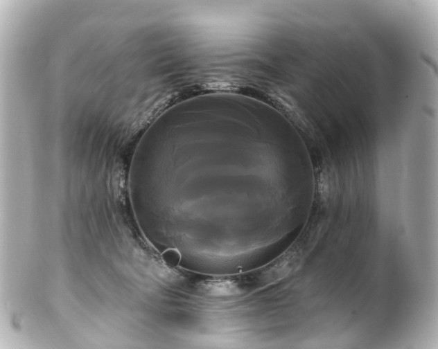 X0000100920322200807011312