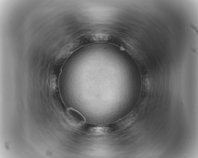 X0000100920323200807011312