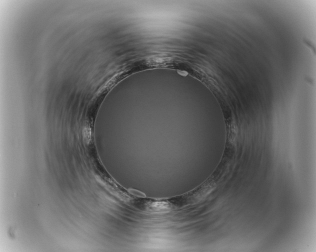 X0000100920324200807011312