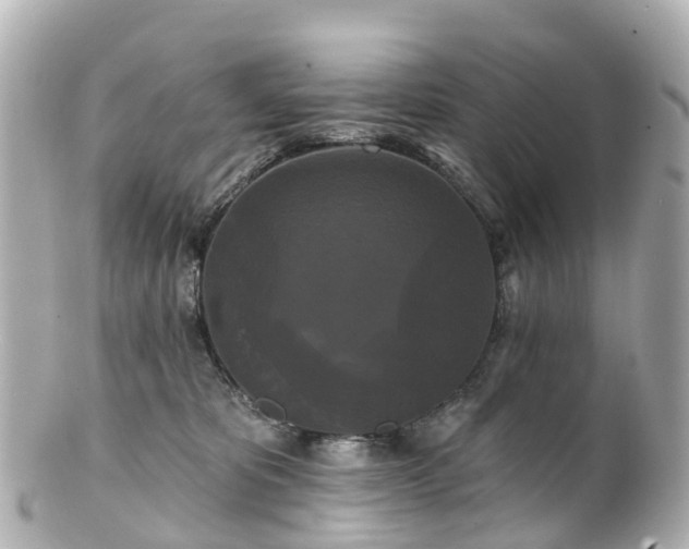 X0000100920325200807011312