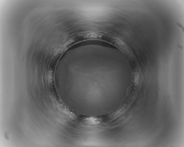 X0000100920326200807011312