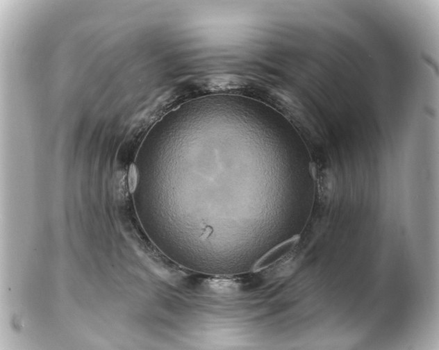 X0000100920327200807011312