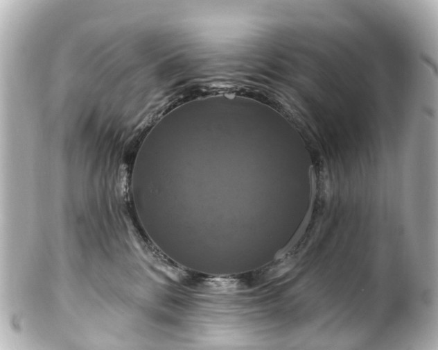 X0000100920328200807011312