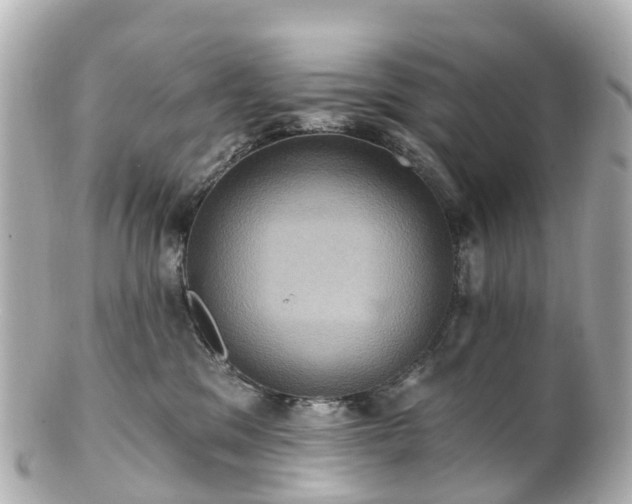 X0000100920329200807011312