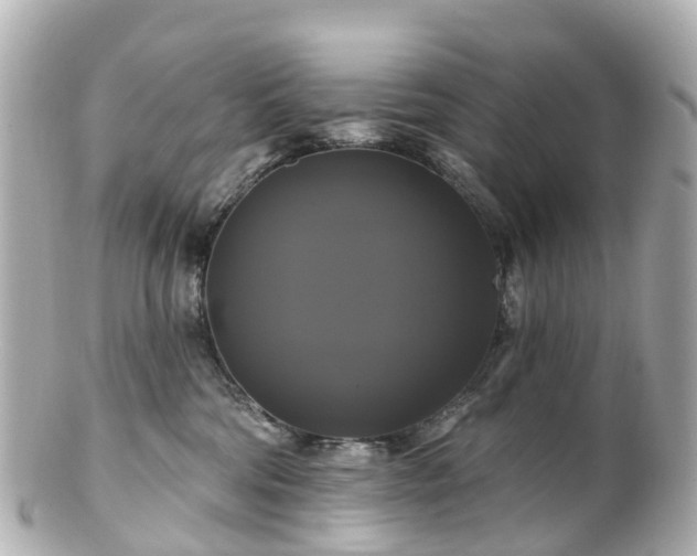 X0000100920330200807011312