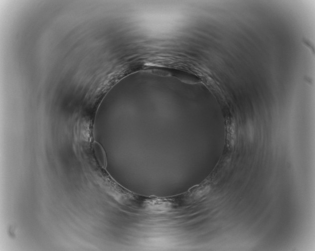 X0000100920331200807011312