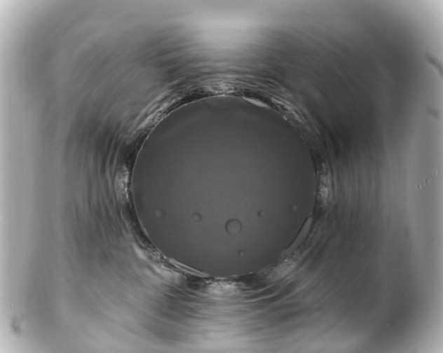 X0000100920332200807011312