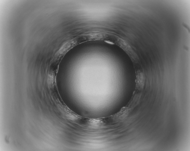 X0000100920333200807011312